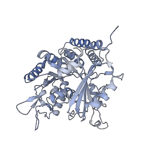 0614_6o2s_4G_v1-3
Deacetylated Microtubules