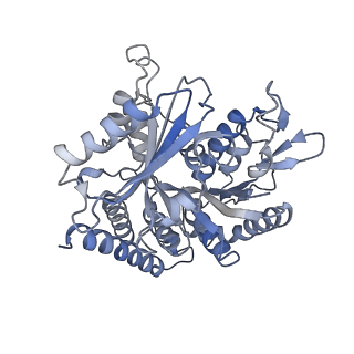 0614_6o2s_4H_v1-3
Deacetylated Microtubules