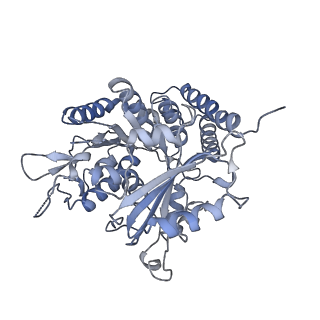 0614_6o2s_4I_v1-3
Deacetylated Microtubules