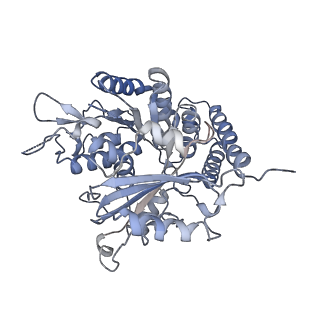 0614_6o2s_4J_v1-3
Deacetylated Microtubules