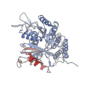 0614_6o2s_4K_v1-3
Deacetylated Microtubules