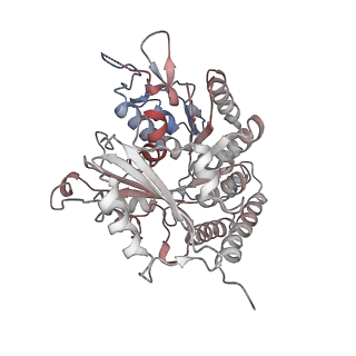 0614_6o2s_4L_v1-3
Deacetylated Microtubules