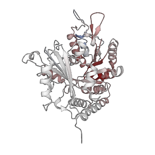 0614_6o2s_4M_v1-3
Deacetylated Microtubules