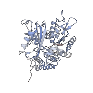 0614_6o2s_4N_v1-2
Deacetylated Microtubules