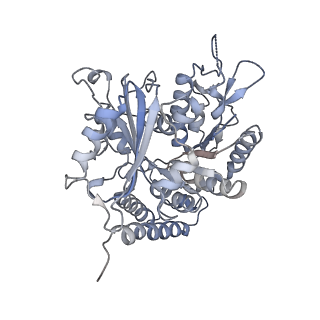 0614_6o2s_4N_v1-3
Deacetylated Microtubules