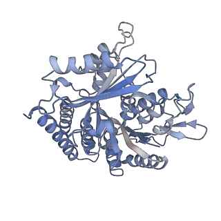 0614_6o2s_4O_v1-3
Deacetylated Microtubules