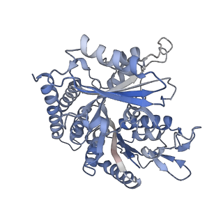 0614_6o2s_4P_v1-2
Deacetylated Microtubules