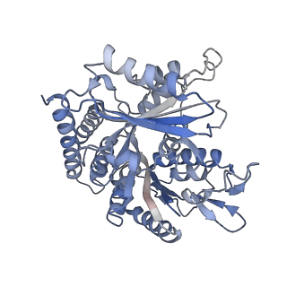 0614_6o2s_4P_v1-3
Deacetylated Microtubules