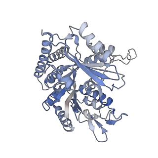 0614_6o2s_4Q_v1-2
Deacetylated Microtubules