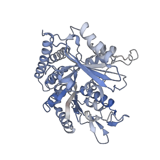 0614_6o2s_4Q_v1-3
Deacetylated Microtubules