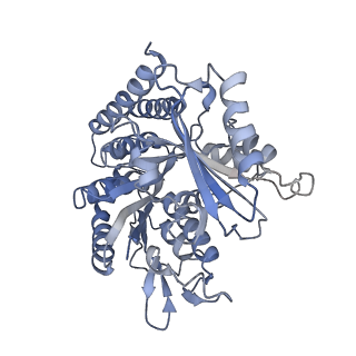 0614_6o2s_4R_v1-3
Deacetylated Microtubules