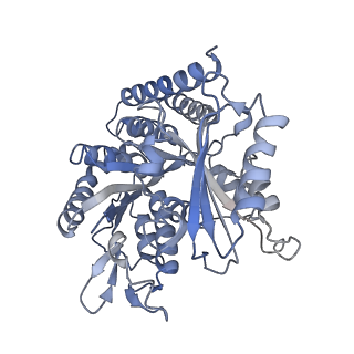 0614_6o2s_4S_v1-3
Deacetylated Microtubules