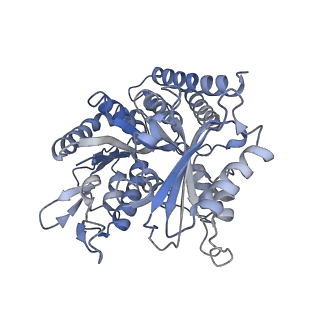 0614_6o2s_4T_v1-2
Deacetylated Microtubules