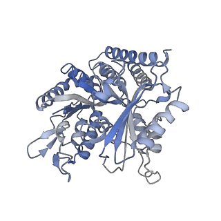 0614_6o2s_4T_v1-3
Deacetylated Microtubules