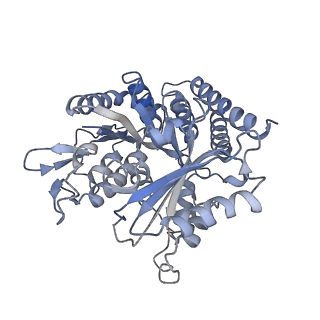 0614_6o2s_4U_v1-3
Deacetylated Microtubules