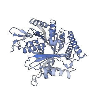 0614_6o2s_4V_v1-3
Deacetylated Microtubules