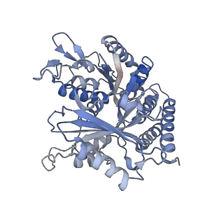 0614_6o2s_4W_v1-2
Deacetylated Microtubules