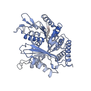 0614_6o2s_4W_v1-3
Deacetylated Microtubules