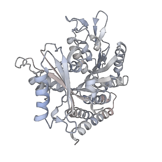 0614_6o2s_4Y_v1-3
Deacetylated Microtubules