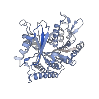 0614_6o2s_4Z_v1-3
Deacetylated Microtubules