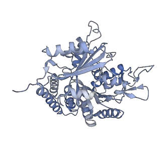 0615_6o2t_1B_v1-3
Acetylated Microtubules