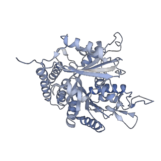 0615_6o2t_1C_v1-3
Acetylated Microtubules