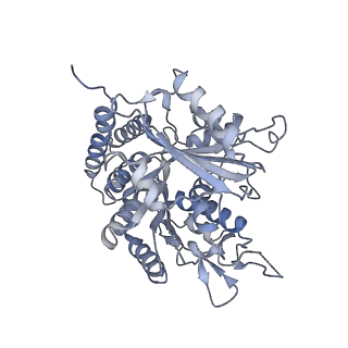 0615_6o2t_1D_v1-3
Acetylated Microtubules