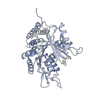 0615_6o2t_1E_v1-3
Acetylated Microtubules