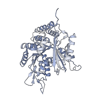 0615_6o2t_1F_v1-2
Acetylated Microtubules