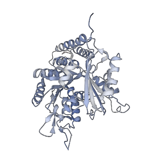 0615_6o2t_1F_v1-3
Acetylated Microtubules