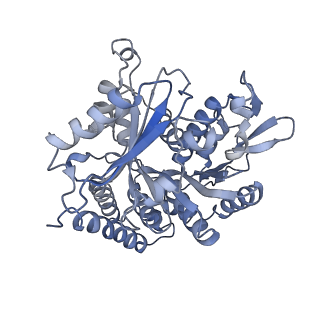 0615_6o2t_1H_v1-3
Acetylated Microtubules