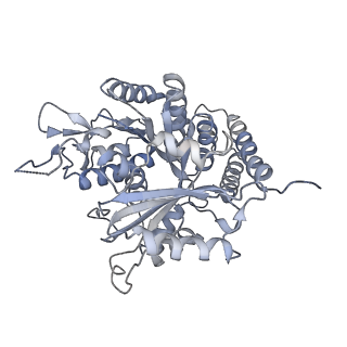 0615_6o2t_1J_v1-2
Acetylated Microtubules
