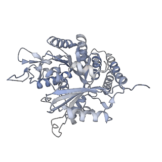 0615_6o2t_1J_v1-3
Acetylated Microtubules