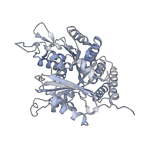 0615_6o2t_1K_v1-3
Acetylated Microtubules