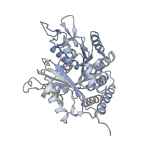 0615_6o2t_1L_v1-3
Acetylated Microtubules