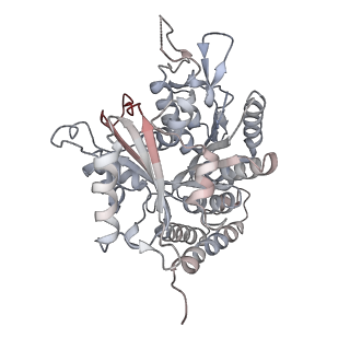 0615_6o2t_1M_v1-3
Acetylated Microtubules