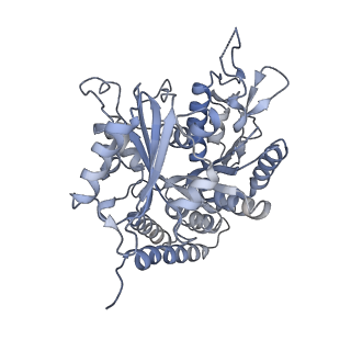 0615_6o2t_1N_v1-2
Acetylated Microtubules