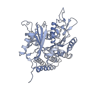 0615_6o2t_1N_v1-3
Acetylated Microtubules