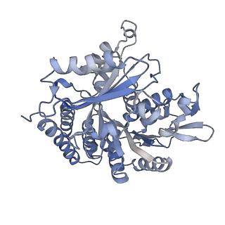 0615_6o2t_1O_v1-3
Acetylated Microtubules