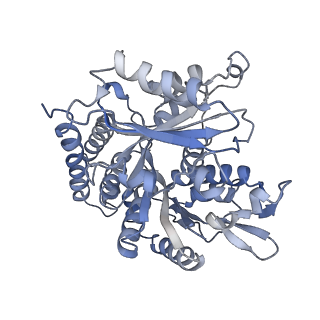 0615_6o2t_1P_v1-3
Acetylated Microtubules