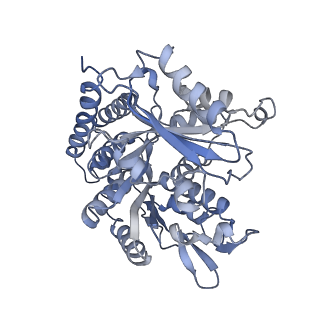 0615_6o2t_1Q_v1-3
Acetylated Microtubules