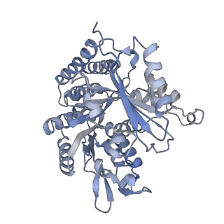 0615_6o2t_1R_v1-2
Acetylated Microtubules