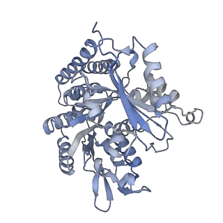 0615_6o2t_1R_v1-3
Acetylated Microtubules