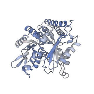 0615_6o2t_1T_v1-3
Acetylated Microtubules