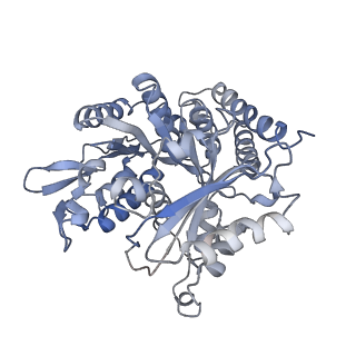 0615_6o2t_1U_v1-3
Acetylated Microtubules