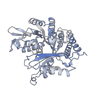 0615_6o2t_1V_v1-2
Acetylated Microtubules