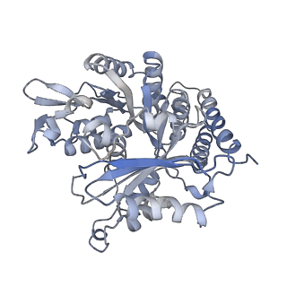 0615_6o2t_1V_v1-3
Acetylated Microtubules