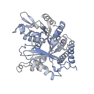 0615_6o2t_1W_v1-3
Acetylated Microtubules