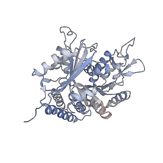 0615_6o2t_2A_v1-3
Acetylated Microtubules