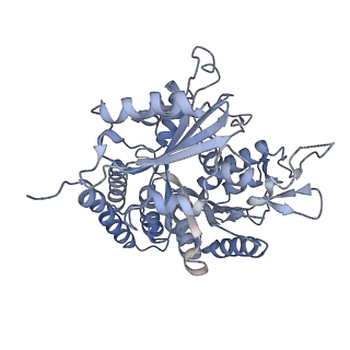 0615_6o2t_2B_v1-3
Acetylated Microtubules